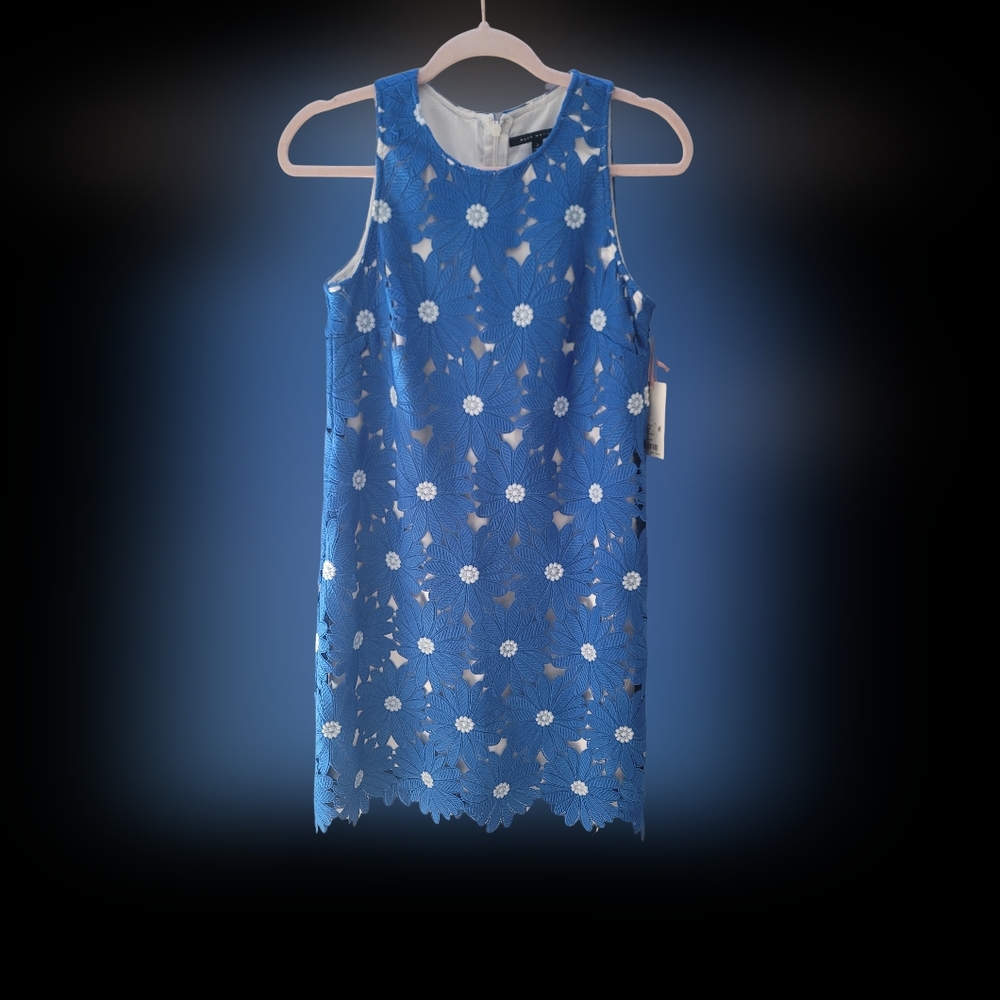 Alex Marie Blue and White Floral Mini Dress